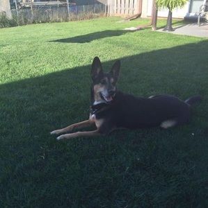 Meet your Posher, Linda